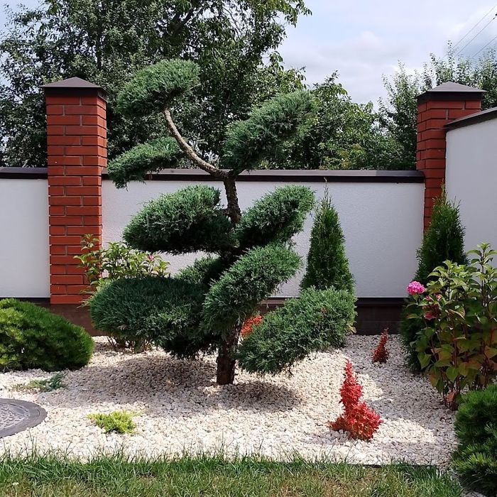 Ландшафтний дизайн Озеленення Садівкик