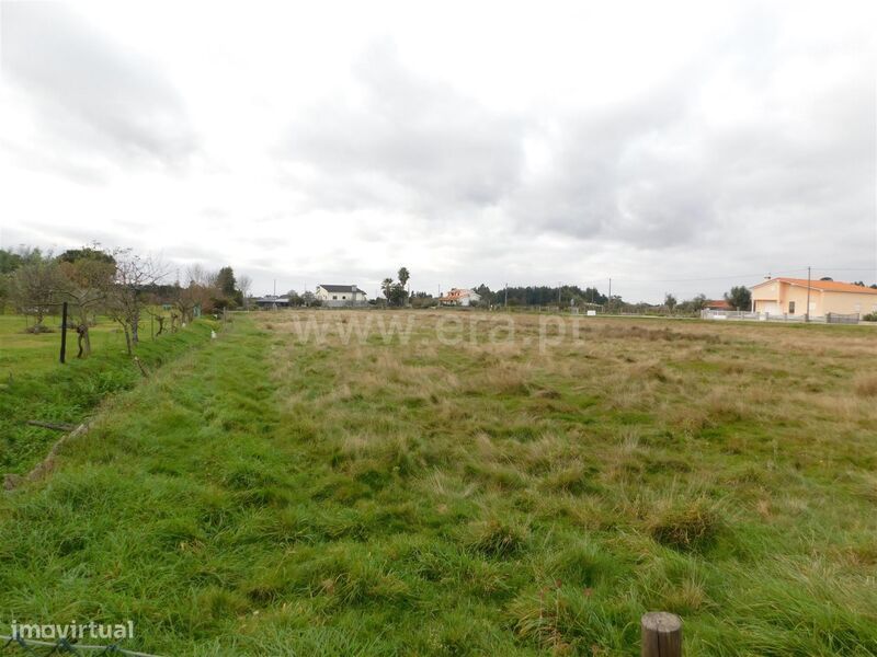 Terreno / Seia, Tourais e Lajes