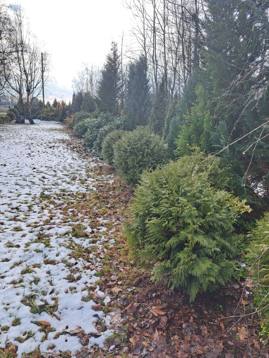 Działka budowlana