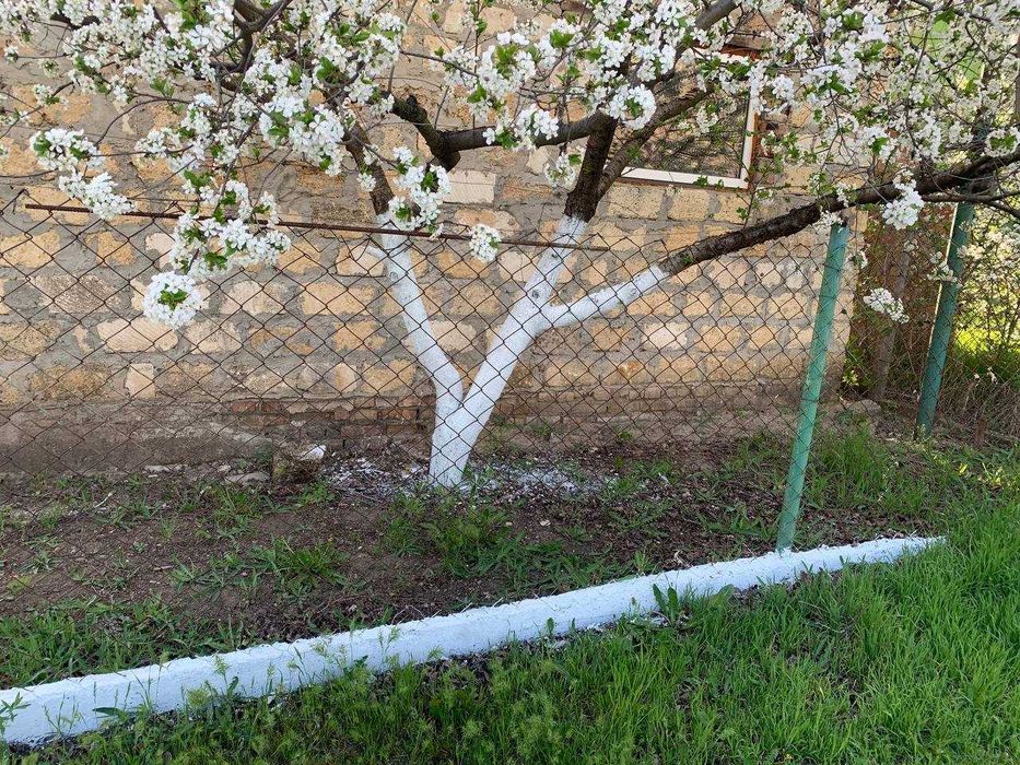 Продам дачу в Зайчевском