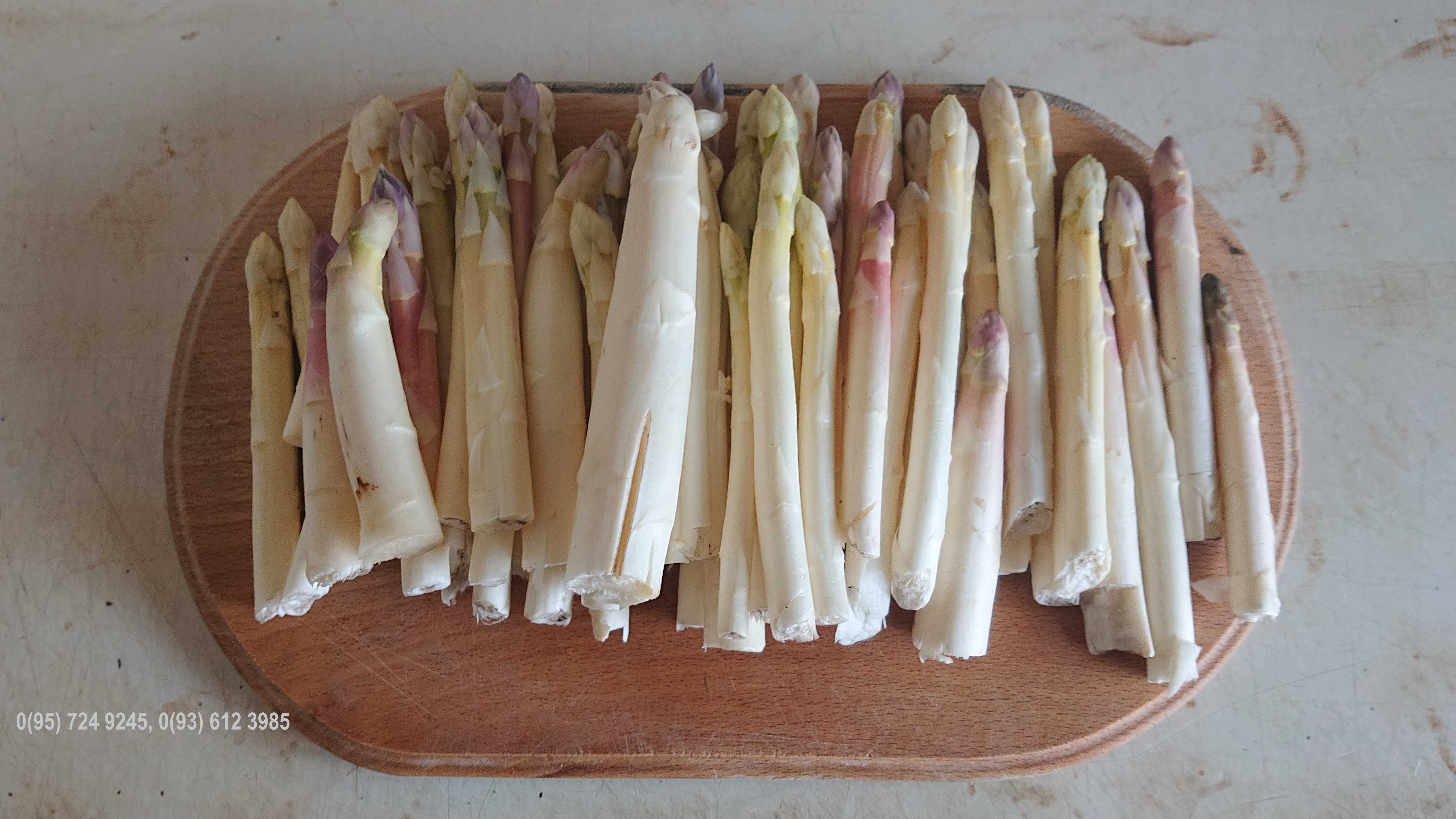 Біла спаржа (Asparagus)