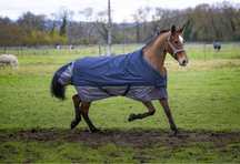 Derka Ekkia Turnout Tyrex 0g 600d r. 120 cm