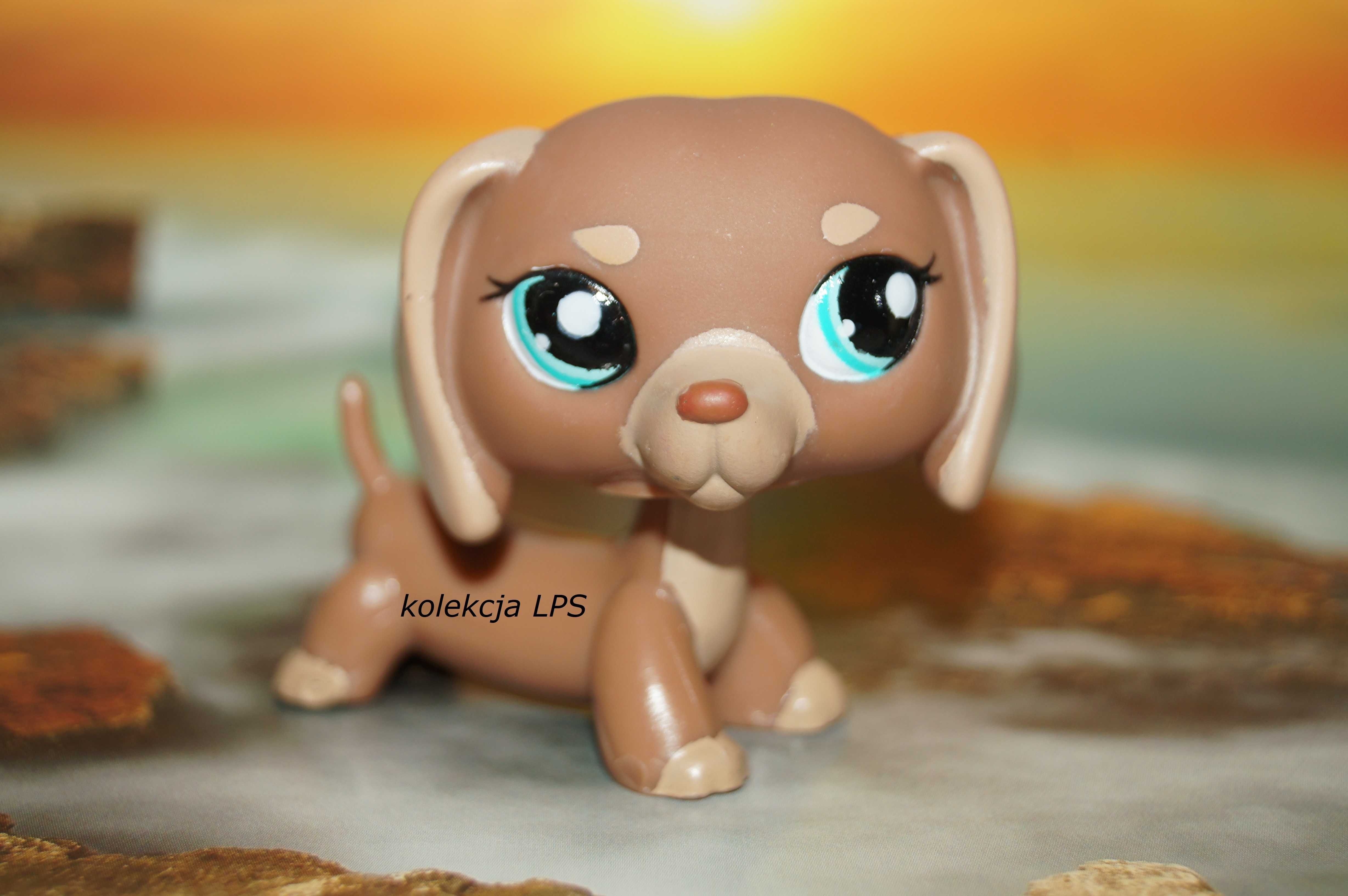 LPS Littlest Pet Shop jamnik #1751 oryginalny pop oryginał kawa