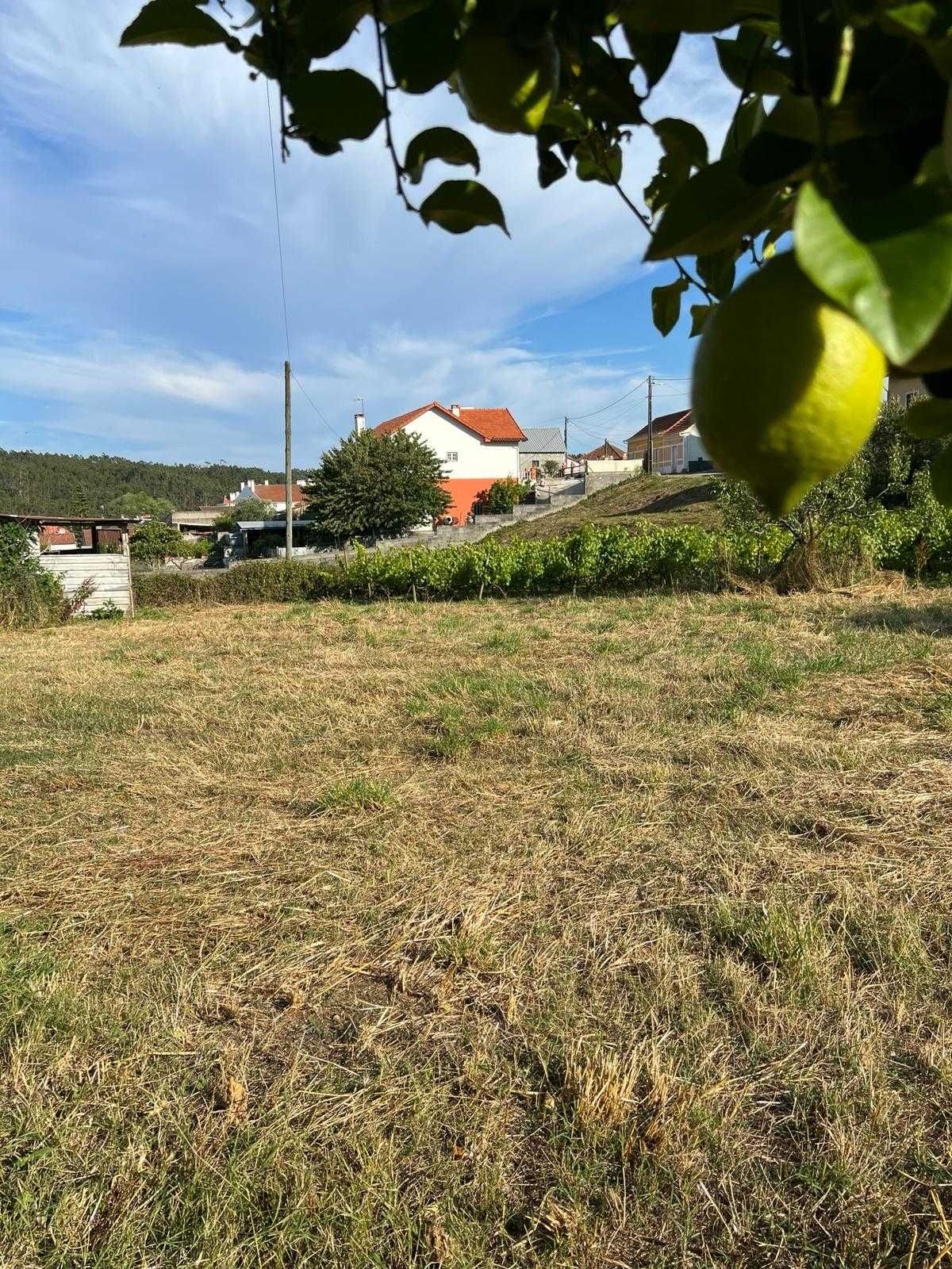 Quintinha para construção de habitação