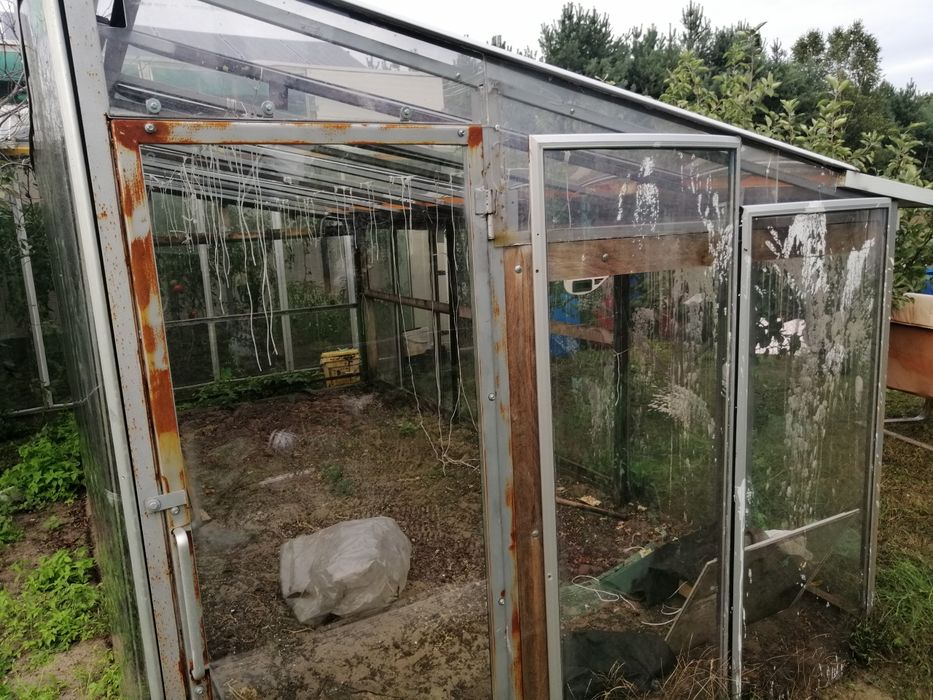 Szklarnia do uprawy pomidorów