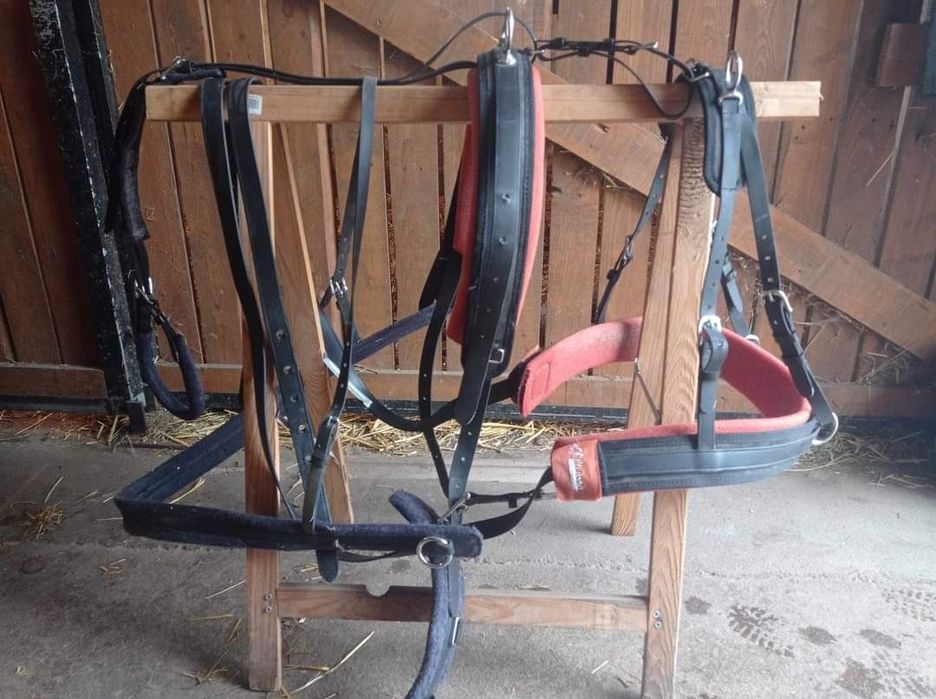 NIŻSZA CENA! Uprząż pony na parę Picasso Biothane