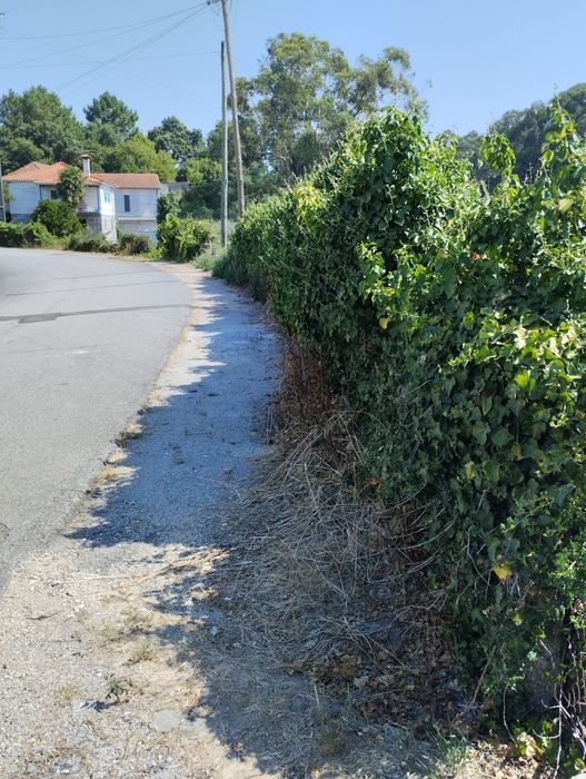 2 terrenos em Santiago da Cruz 290
