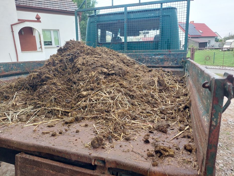 Obornik koński z dowozem