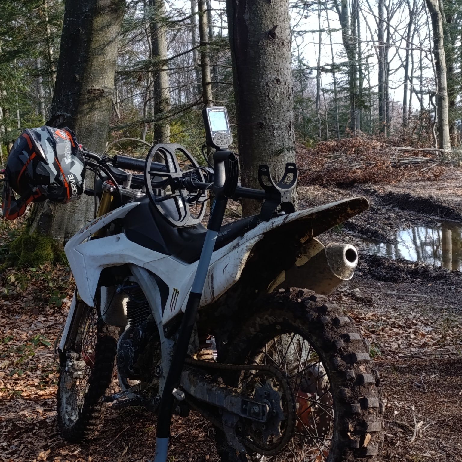 Hornet Dakar pro