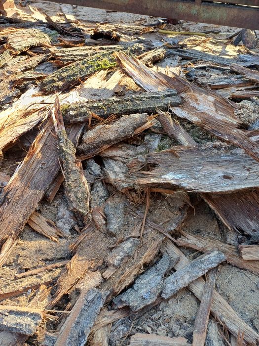 Sprzedam korę dębową