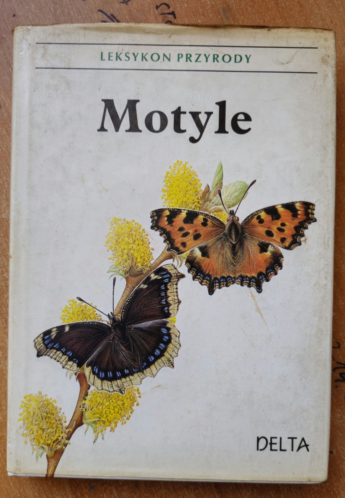 Książka Album Encyklopedia Atlas Motyle