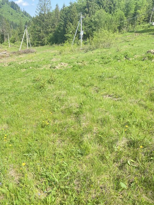 Земельна ділянка