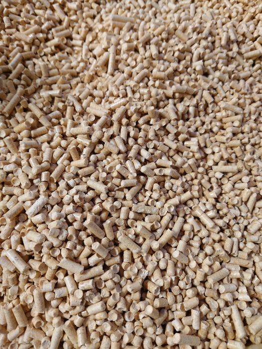 Pellet sosnowy producent
