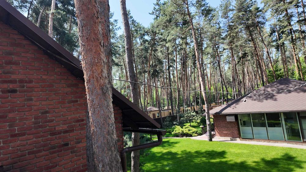 Продаж будинку в лісі, Піщанка, Ліс,Річка,