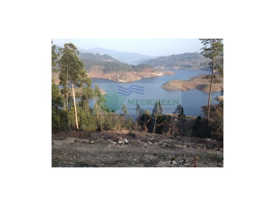 Terreno No Barreiro | Couto De Esteves Conselho De Sever Do Vouga