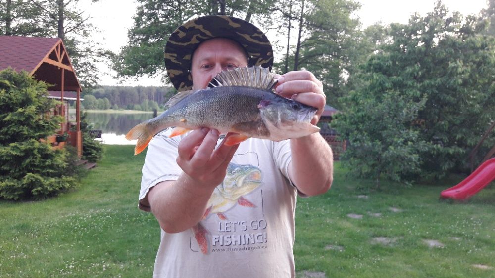 Wynajem domków letniskowych nad jeziorem Kazub  WOLNE TERMINY