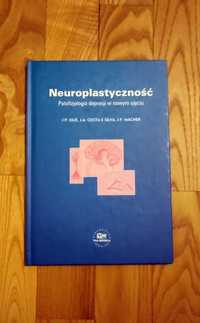 Neuroplastyczność Patofizjologia depresji J P Olie