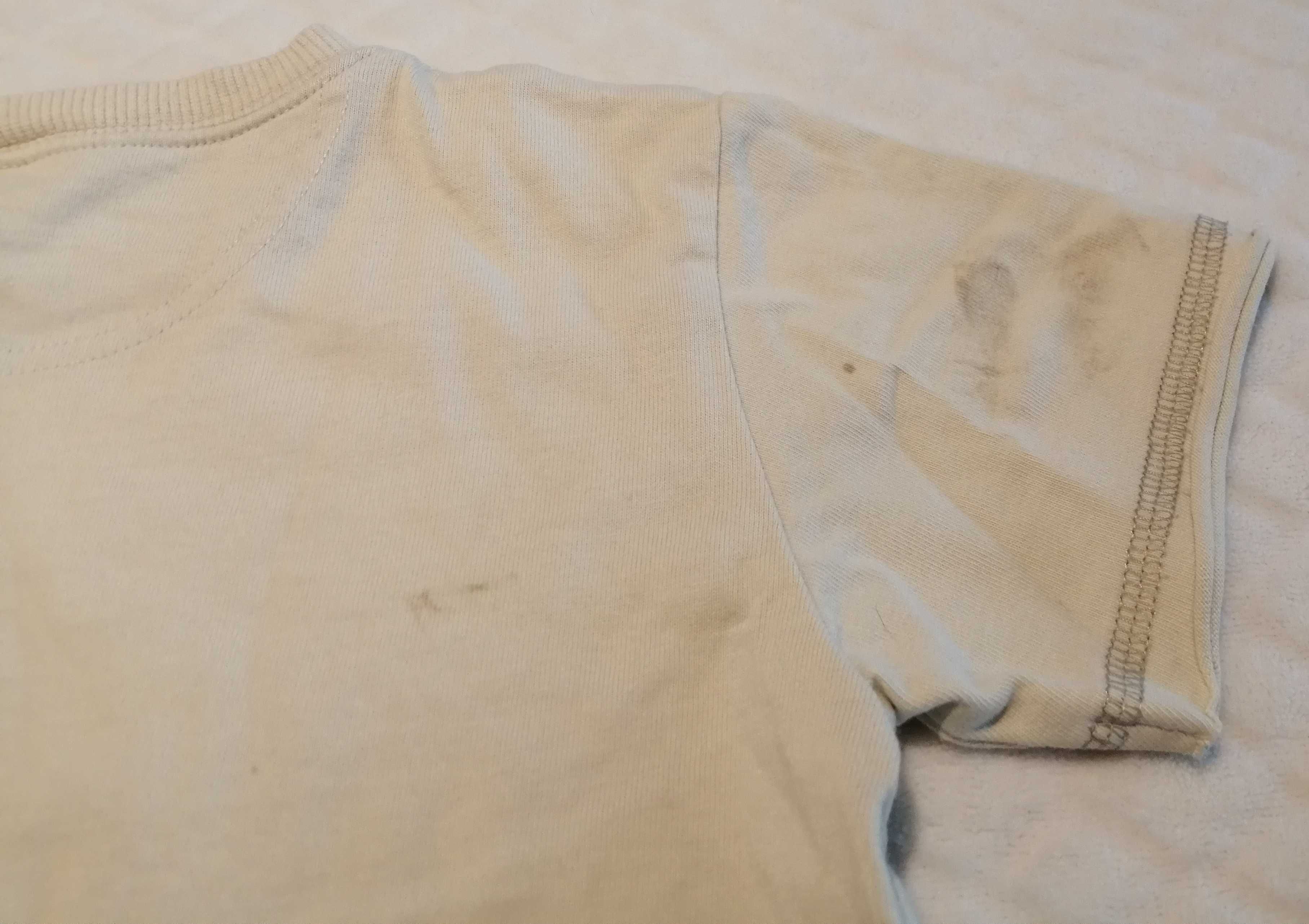 Koszulka, krótki rękaw, T-shirt, chłopięca, safari, 98, Next (Odzież)