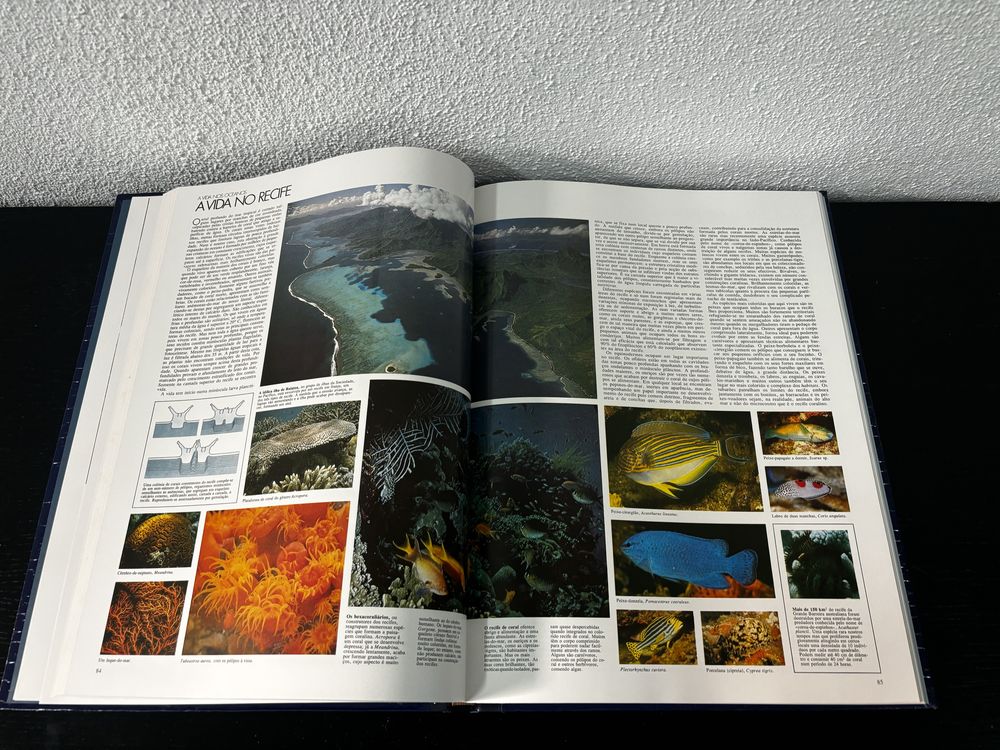 Livro fantatico de aprendizagem