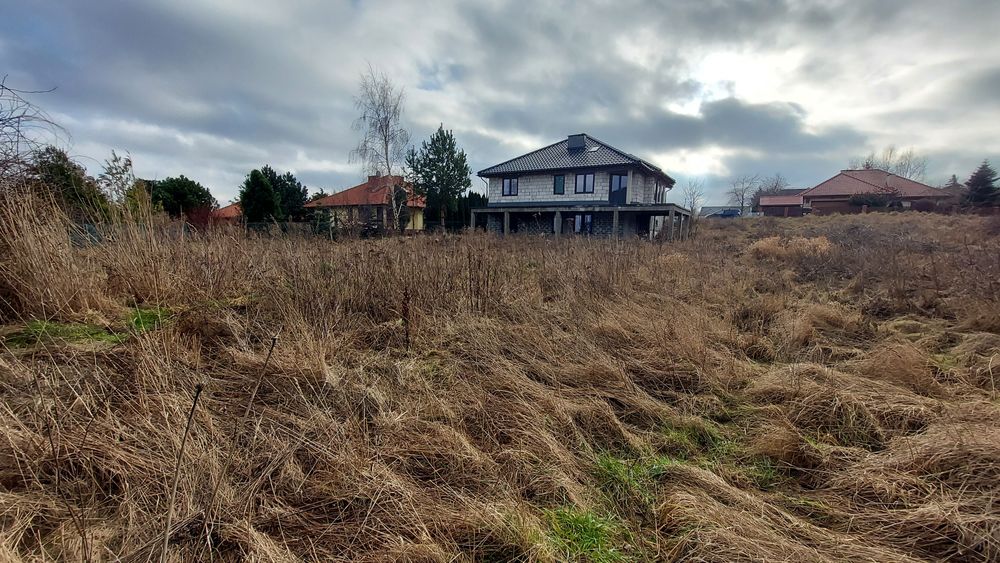 Wolnostojacy, wszystkie media