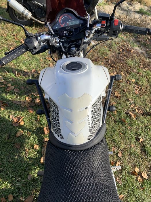 Дуги клітка на Лось300,250. Кр200