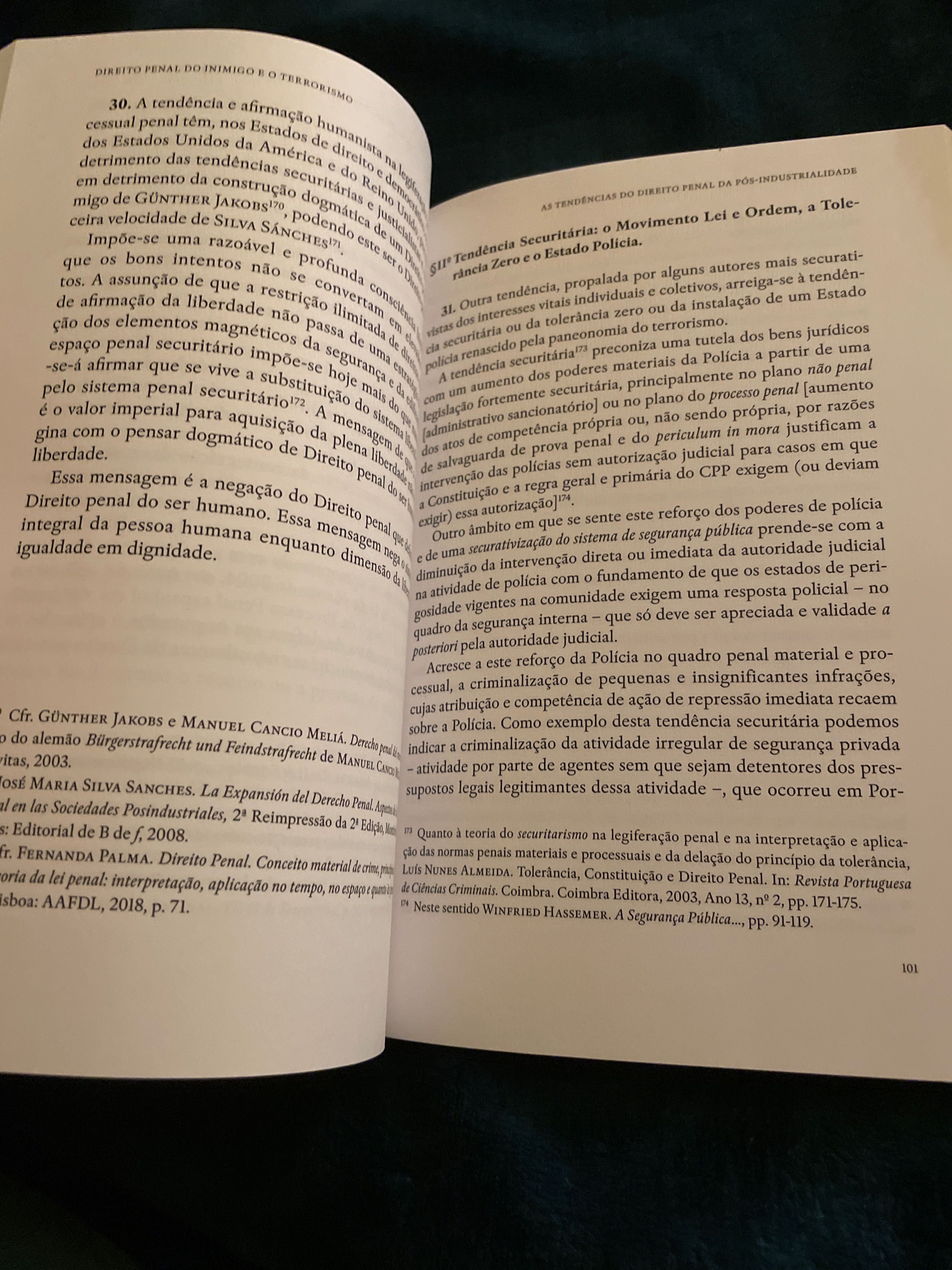 Direito Penal do Inimigo e o Terrorismo