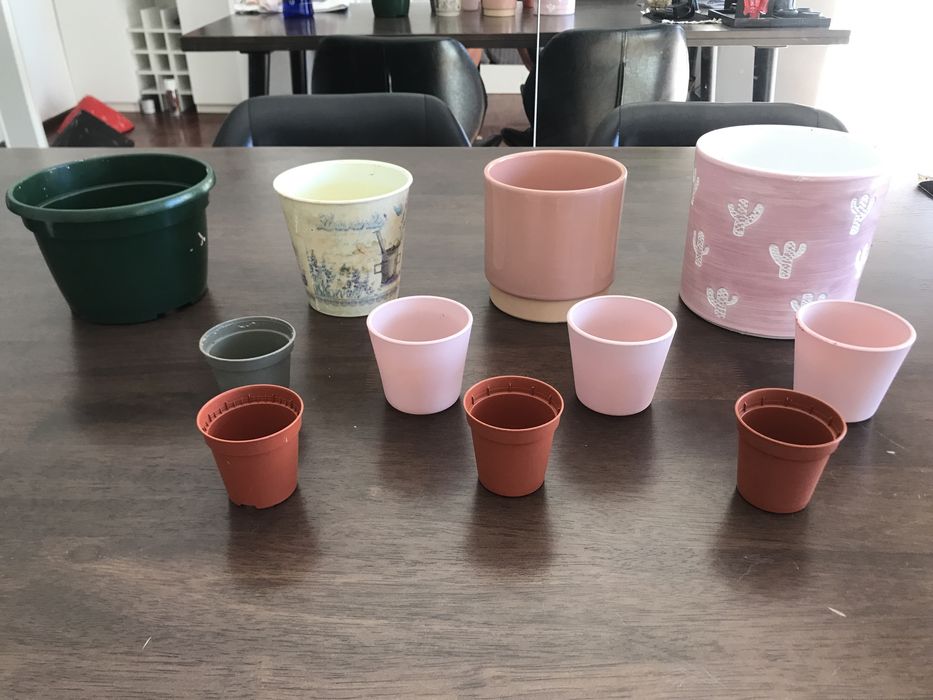 Vários vasos médios e pequenos para plantas