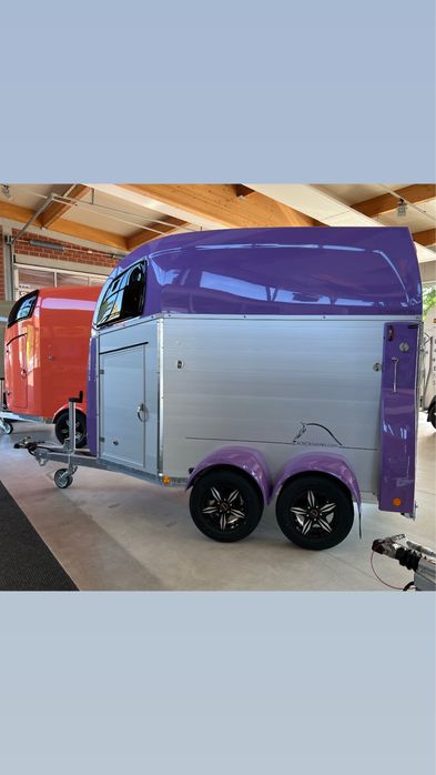 Wynajem przyczep dla koni  1000kgDMC na kat B  Solnica Gdansk Elblag