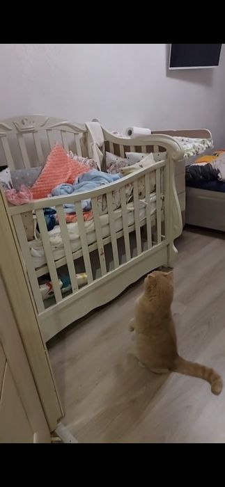 Ліжко дитяче "Корона"