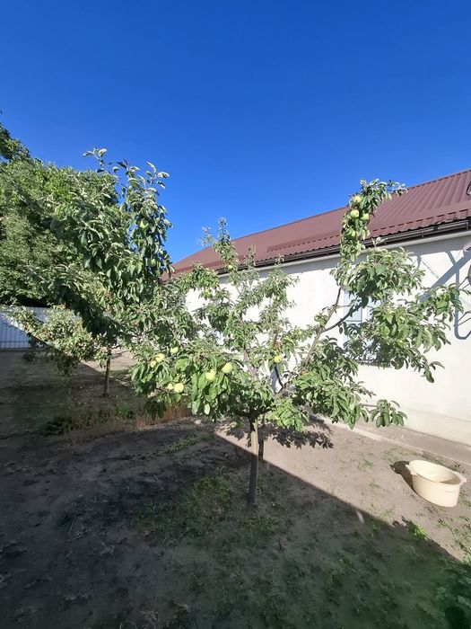 Продається добротний 4-к будинок в Кропивницькому, р-н Миколаївка