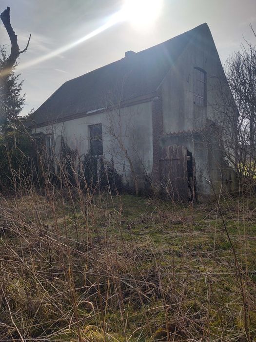 Dom okolice Złotnik Kujawskich 75000zł