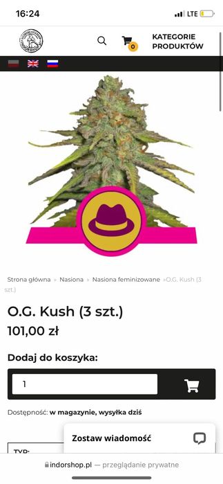 Nasiona OG. Kush - odmiana Snoop Dooga