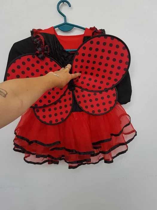 Sukienka przebranie biedronka owad ze skrzydłami 98-110 cm G055