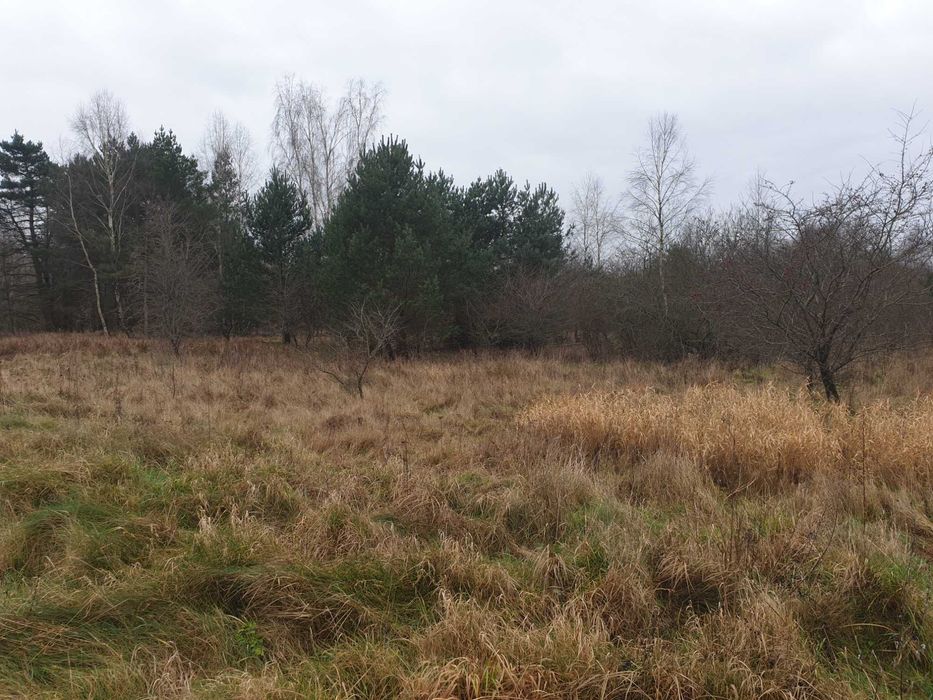 Działki budowlane NAD MORZEM Osada Leśna Ustka Słupsk