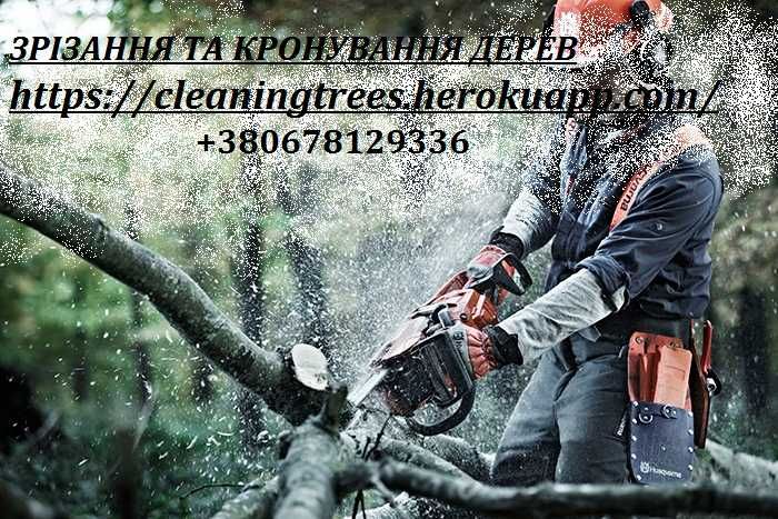 ЧИСТКА ДІЛЯНОК! Зрізання дерев! Корчування пнів!
