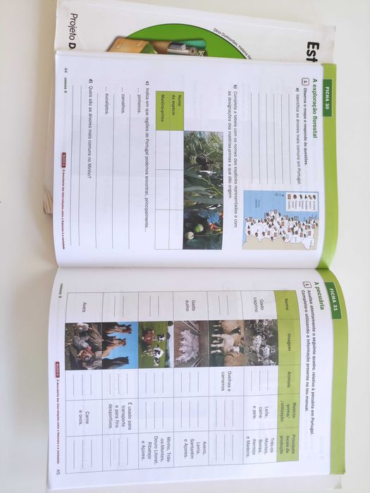 Estudo do Meio 4 - Manual, Caderno de atividades e Fichas de avaliação