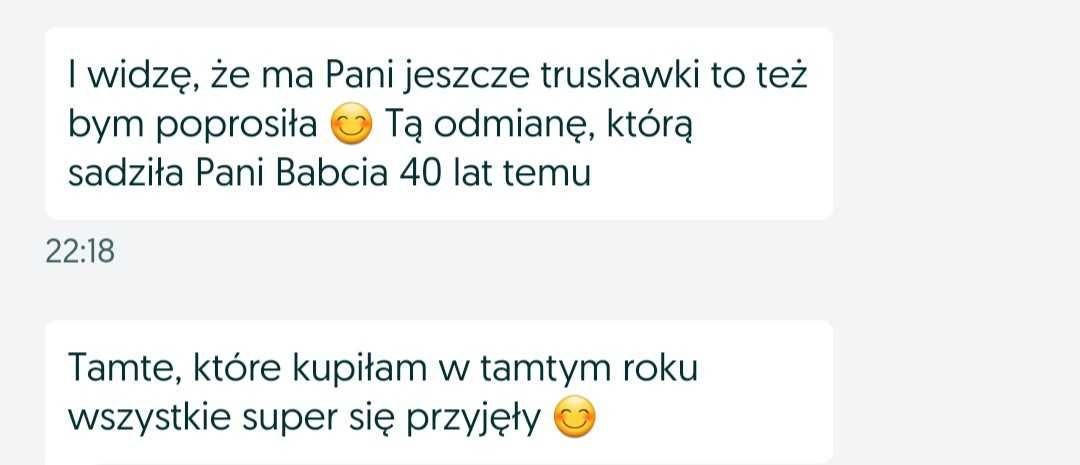 Sadzonki truskawek dawna odmiana nigdy nie pryskane