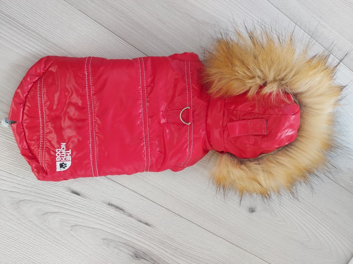 Glam&Rock Puppy Kurtka z Kapturem Alaska 40cm - czerwona.  Dla psa.