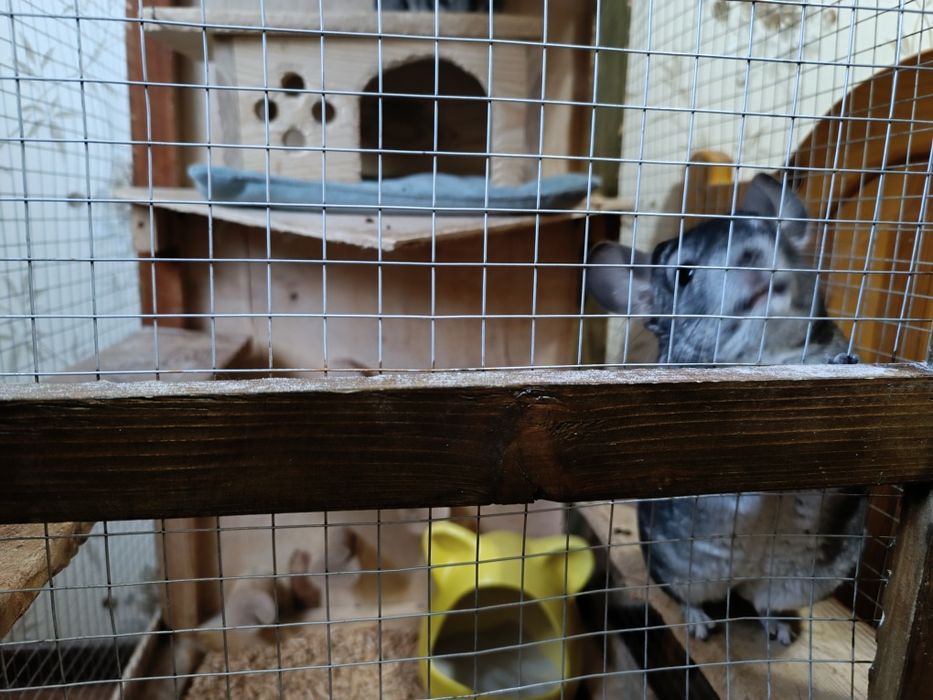 Деревянная большая клетка для грызунов