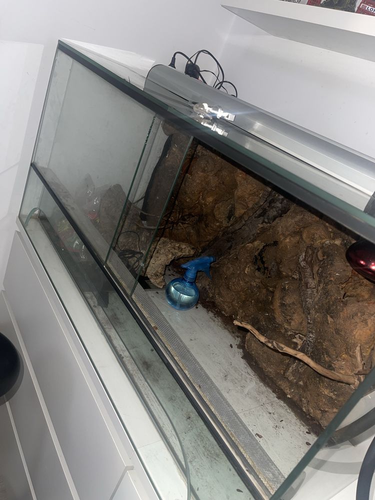 Terrário para repteis