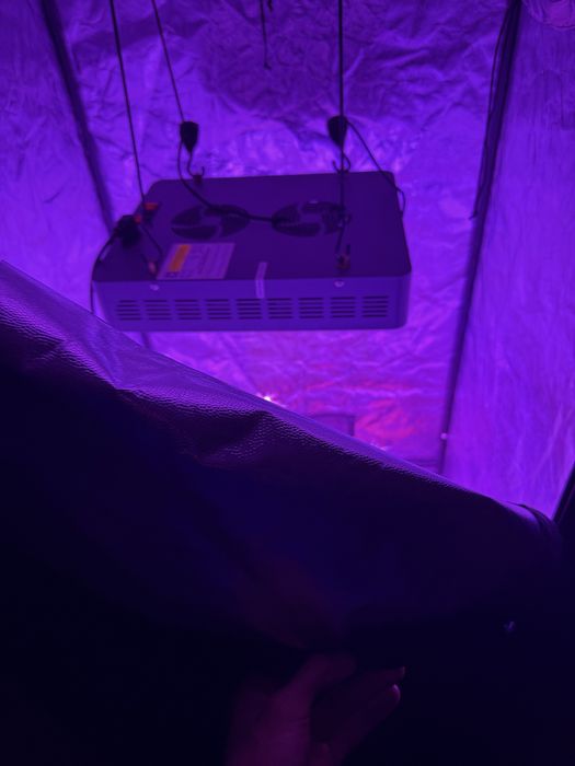 Viparspectra 600W LED