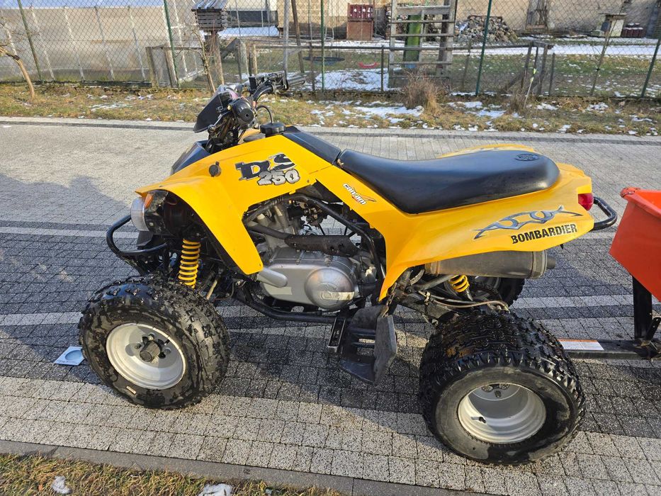 quad can-am DS 250