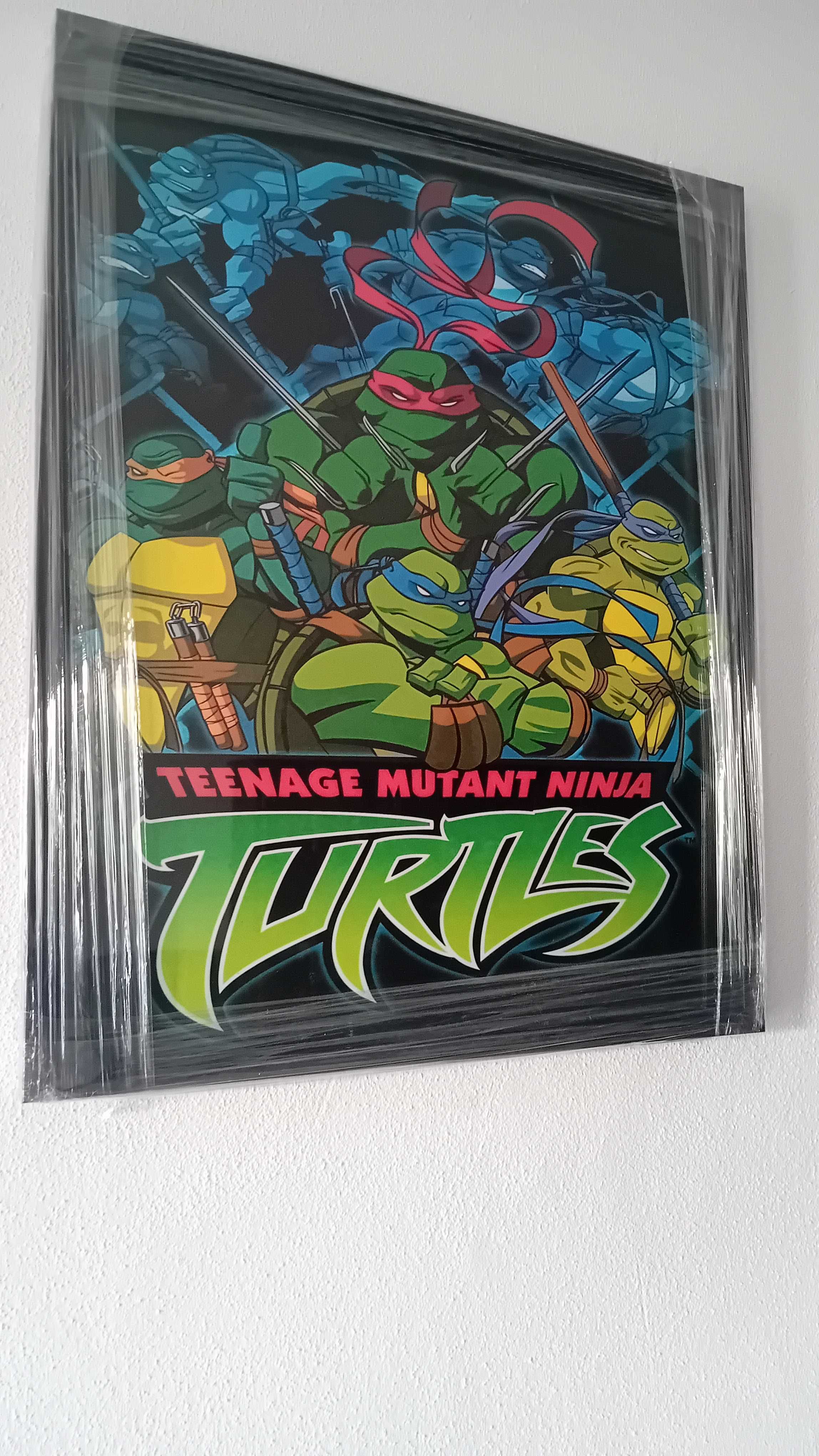 Tartarugas Ninja - Quadro