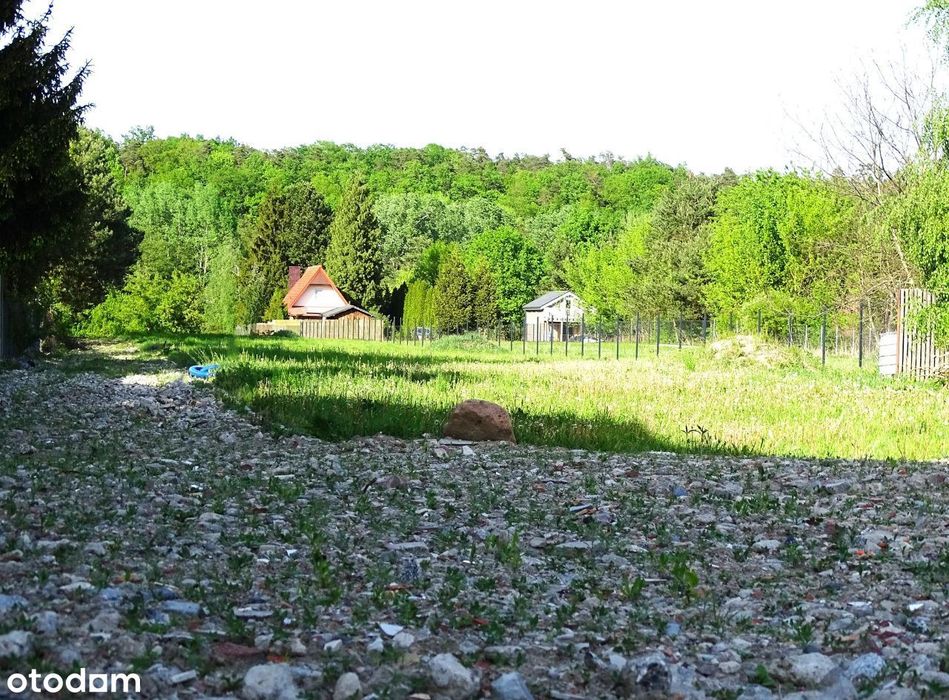 Uzbrojone działki budowlane z widokiem na Wkrę - Twoja wymarzona OAZA