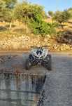 Yamaha raptor 250