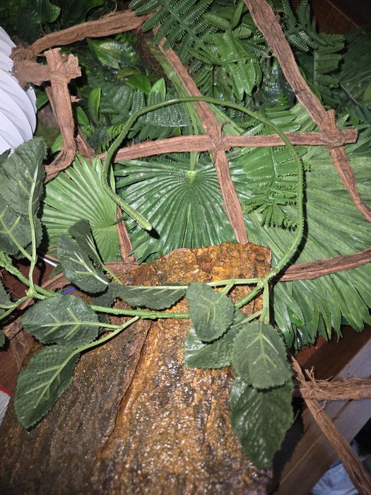 Terrarium XXL 130x80x60