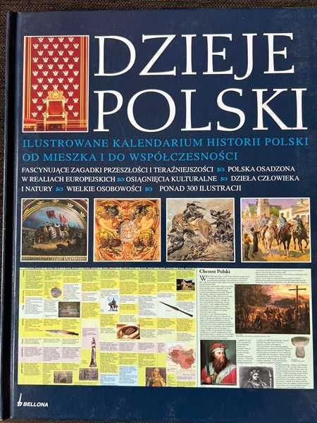 Książka Dzieje Polski - Ilustrowane kalendarium historii Polski