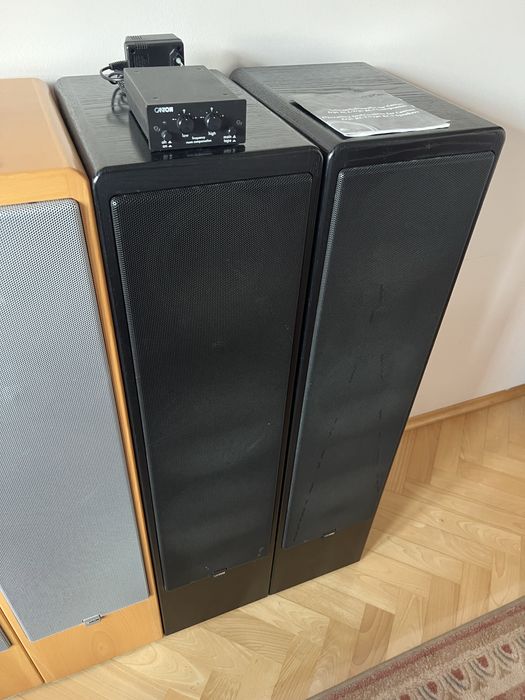 Kolumny podłogowe Canton Ergo RC-L 200/350W jasne drewno czarne
