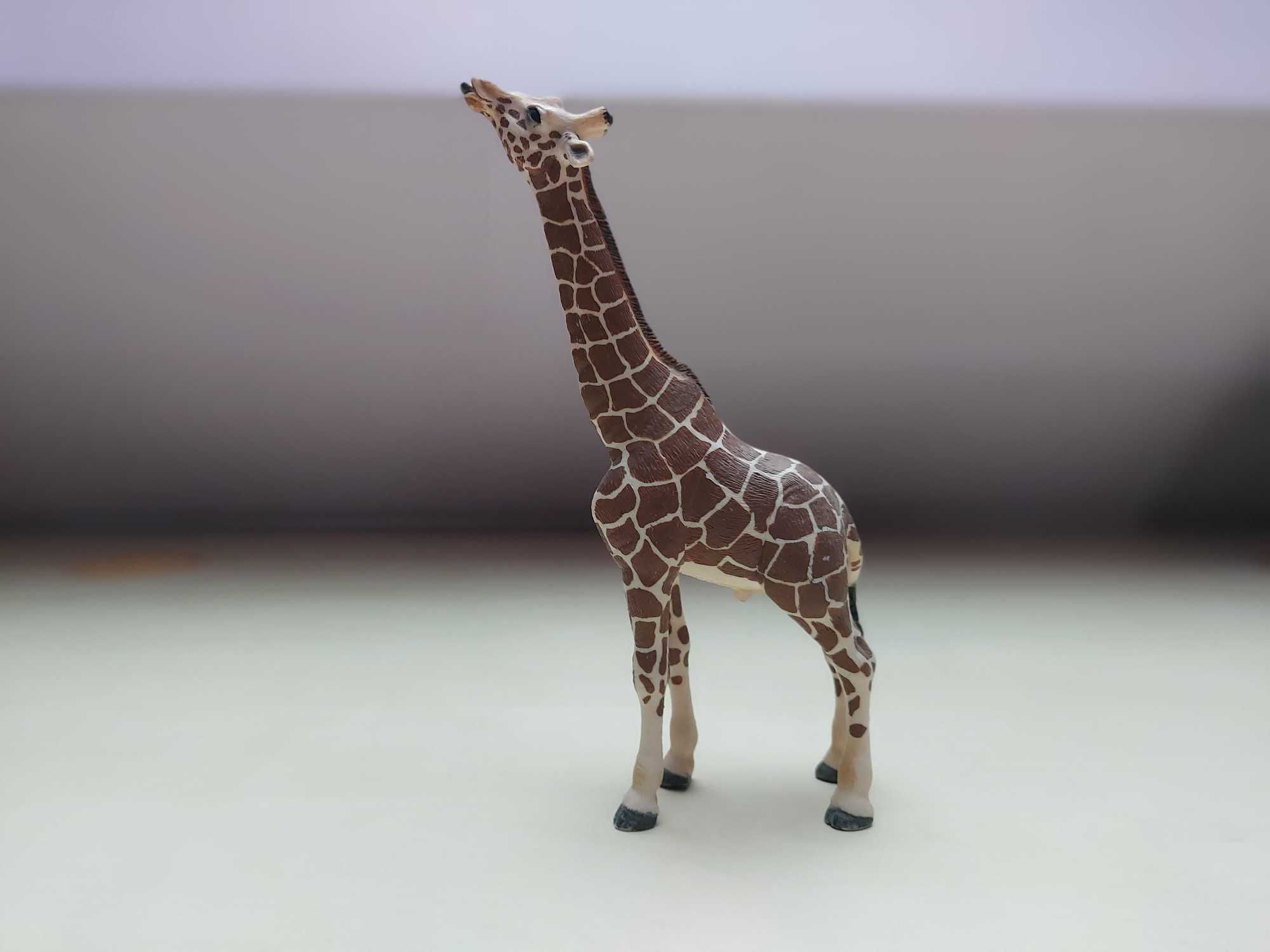 Schleich 14389 Żyrafa samiec jedzący wycofany