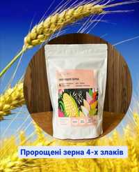 Пророщені зерна 4-х злаків, топовий український суперфуд